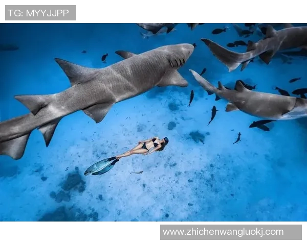 菲律宾与马尔代夫精彩对决录像回放分析及精彩瞬间集锦