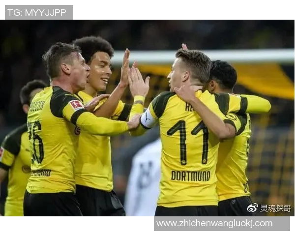 2019年纽伦堡与多特蒙德激战回顾及赛季表现分析