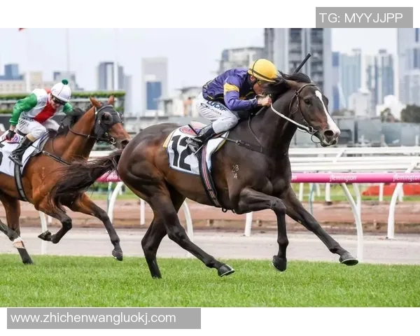 乔治城与八一篮球对决精彩视频回顾及赛后分析分享