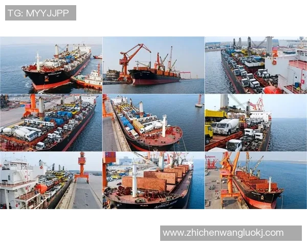 张帆：在时代浪潮中扬帆起航的青年领袖与创新者之路