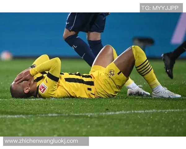 多蒙特与勒沃库森激战在即谁能在德甲赛场上笑到最后