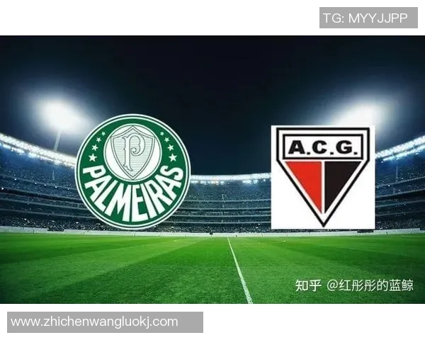 帕梅拉斯与博卡青年激战正酣谁将赢得这场南美足球巅峰对决