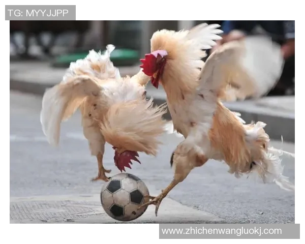 吉灵汉姆与卢顿的精彩对决分析及赛季前景展望 吉灵汉姆与卢顿的精彩对决分析及赛季前景展望