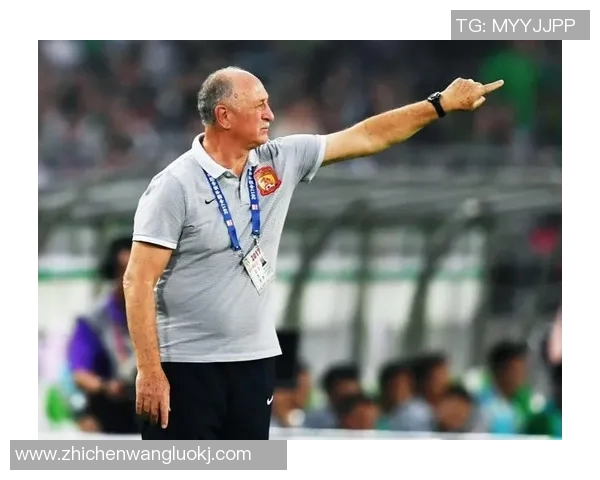 吴静专访：从排球新星到传奇教练的奋斗与成长之路