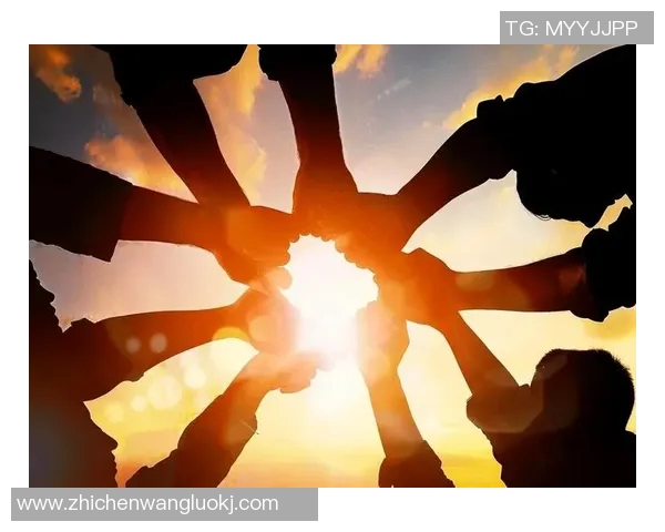 杭州排球队逆袭之旅联合会杯特别报道展现拼搏精神与团队力量