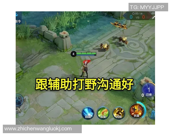 王者荣耀评论分析WE区域防守策略的成功与不足之处